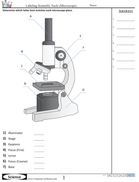  Worksheet - Microscope worksheet